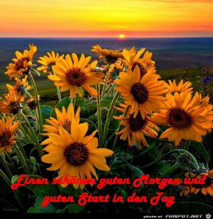 Guten Morgen 01 Guten Morgen 01