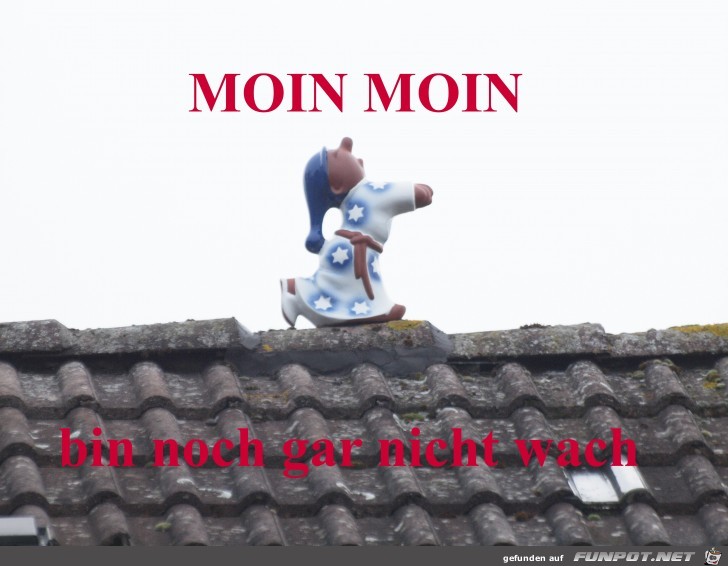 Moin moin Moin moin