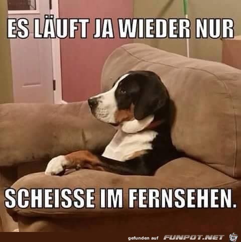 Nur Mist im Fernsehen Nur Mist im Fernsehen