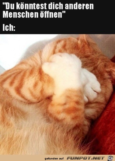 Lieber nicht Lieber nicht