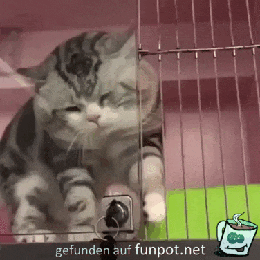 Geglückter Ausbruch Geglückter Ausbruch
