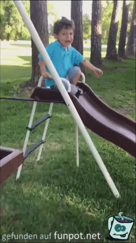 Grashüpfer Grashüpfer