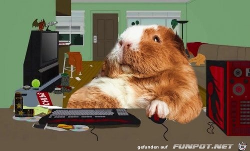 Fett am PC Fett am PC