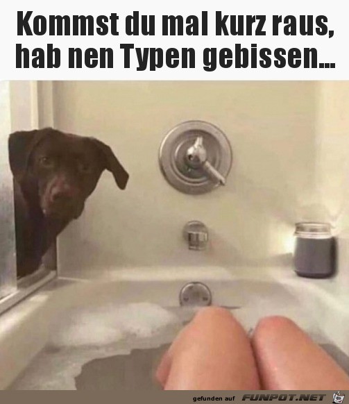 Komm mal Komm mal