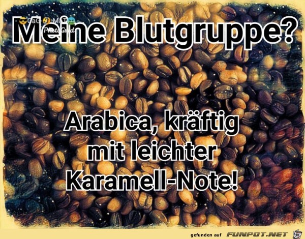 Blutgruppe