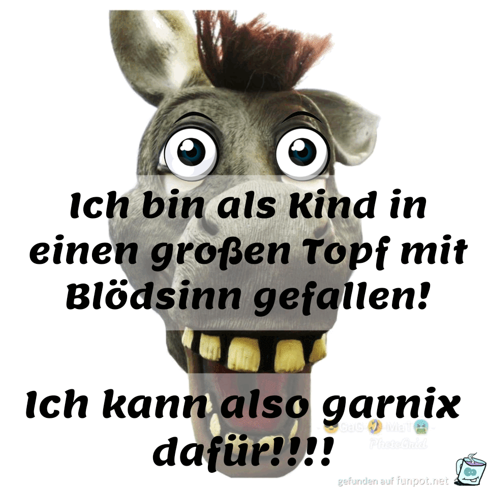 Bloedsinn Bloedsinn