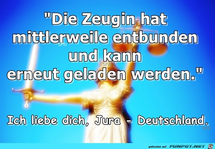 Die Zeugin Die Zeugin