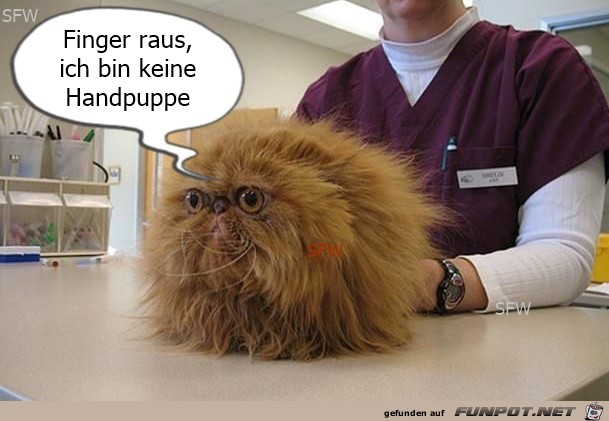 Finger raus Finger raus