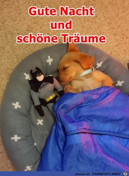 Gute Nacht 03 Gute Nacht 03