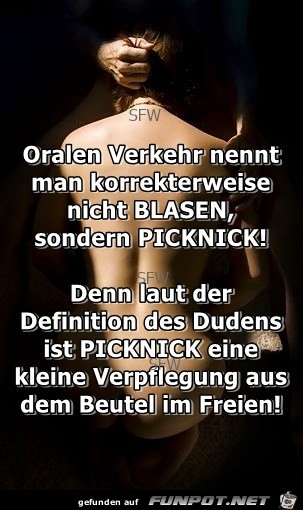 Oralen Verkehr Picknick Oralen Verkehr Picknick