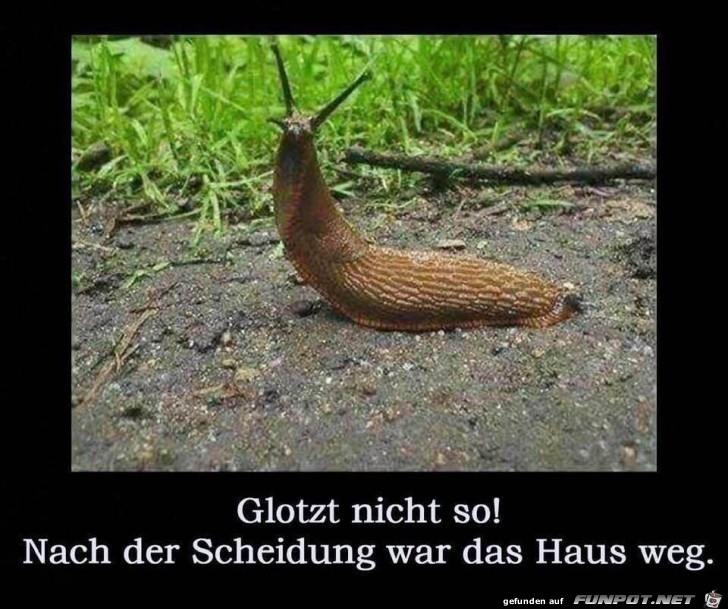 So schnell geht das So schnell geht das