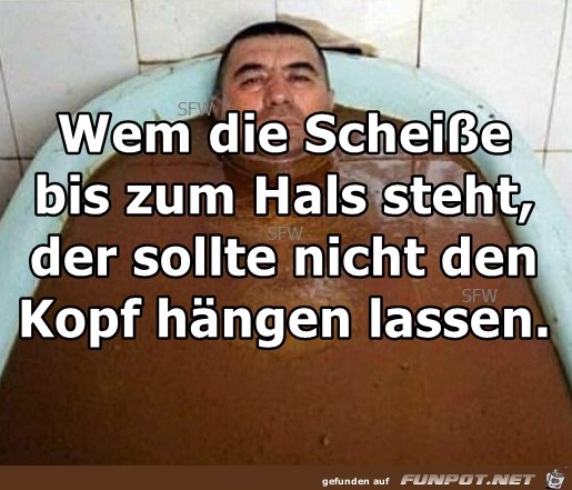 Scheisse Scheisse