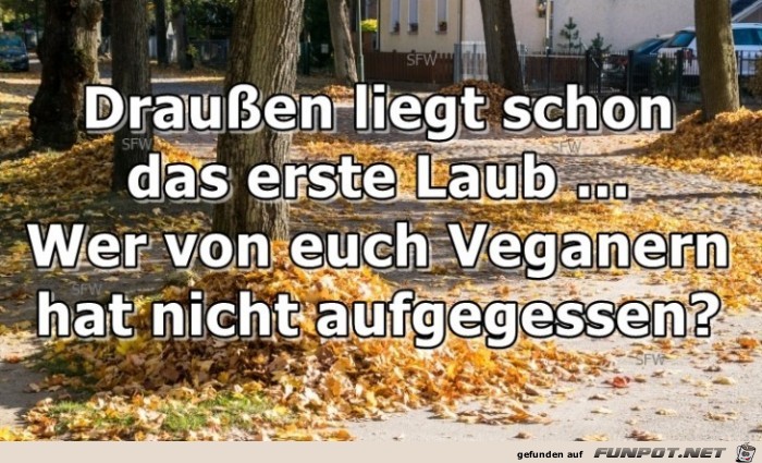 Veganer Veganer