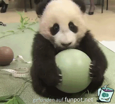 Das ist mein Ball Das ist mein Ball