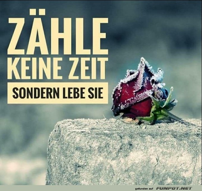 10 sch�ne Spr�che und Lebensweisheiten aus...