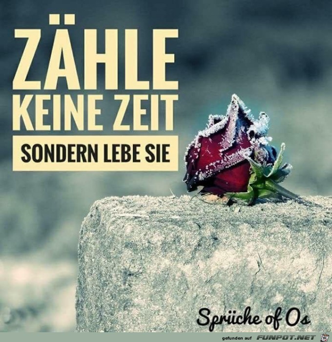 10 schne Sprche und Lebensweisheiten aus...