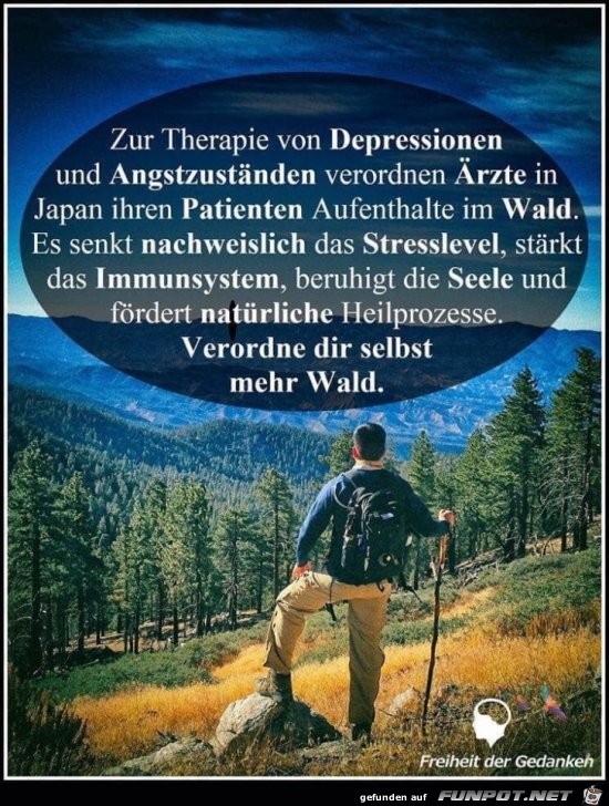 zur Therapie von Depressionen