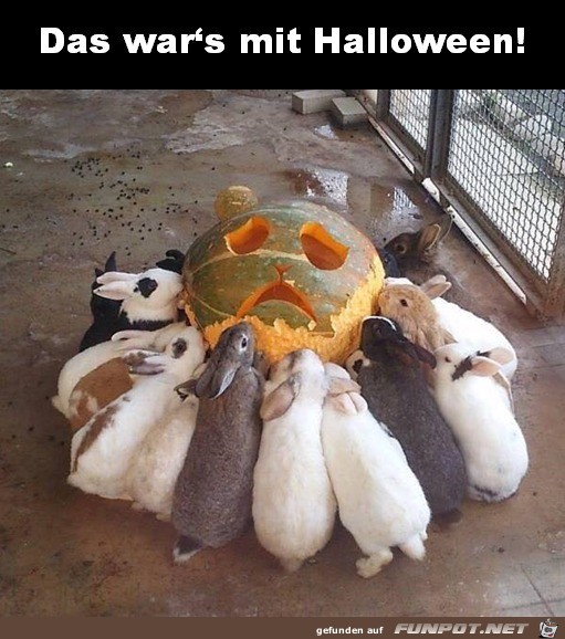 Das wars