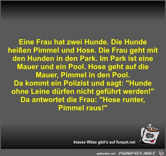 Eine Frau hat zwei Hunde Eine Frau hat zwei Hunde