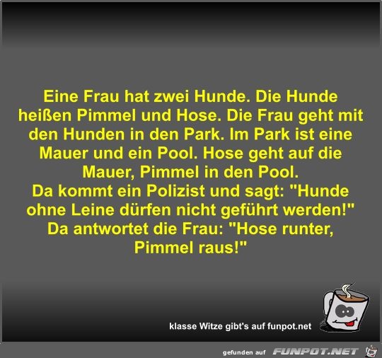 Eine Frau hat zwei Hunde