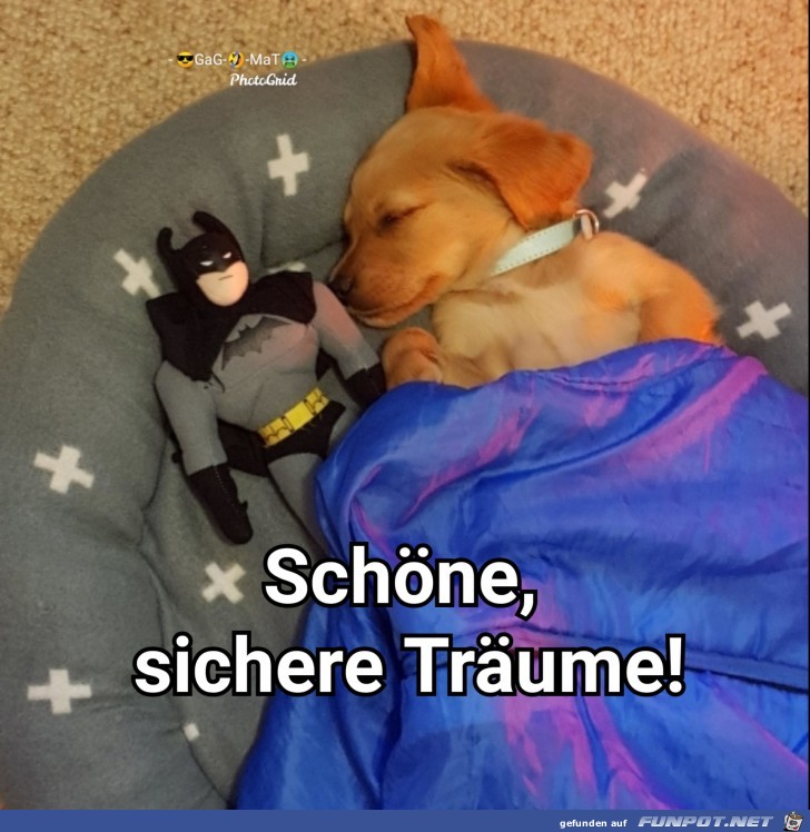 Gute Nacht