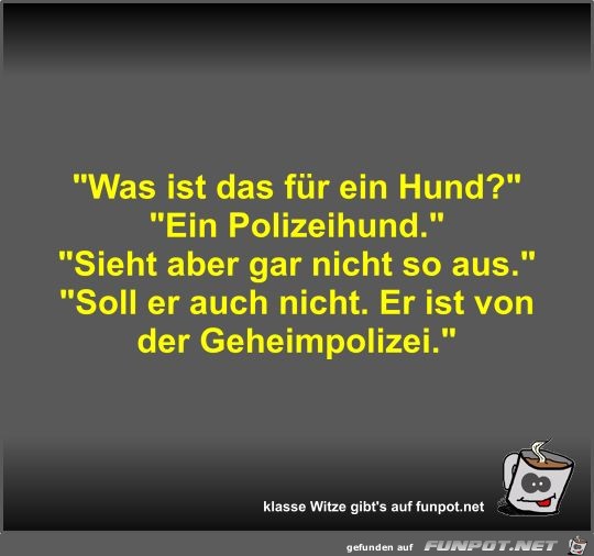 Was ist das für ein Hund? Was ist das für ein Hund?