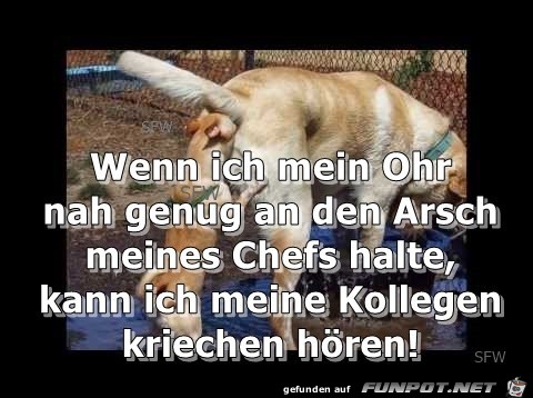 Wenn ich mein Ohr am... Wenn ich mein Ohr am...
