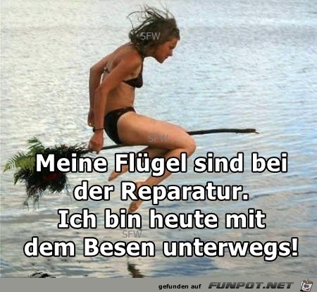 Meine Flügel sind... Meine Flügel sind...