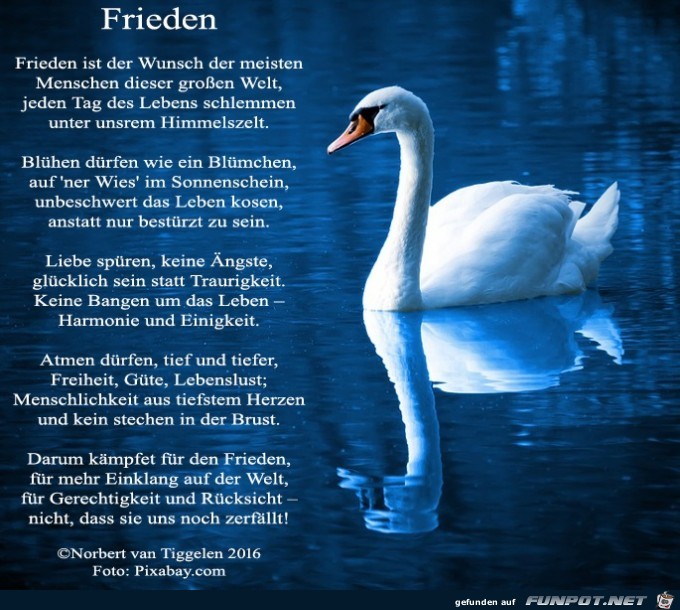 frieden 2019 frieden 2019