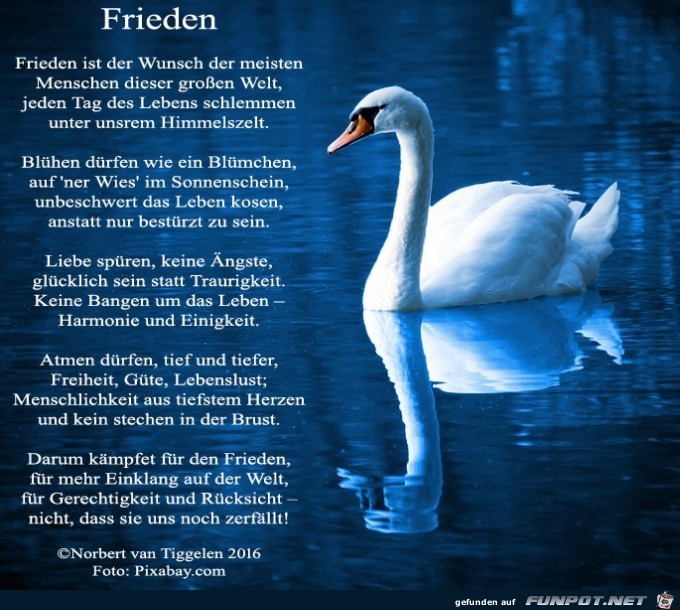 frieden 2019