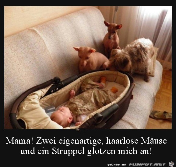 Wer ist das Wer ist das