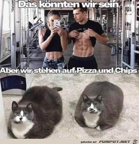 Könnten wir sein Könnten wir sein