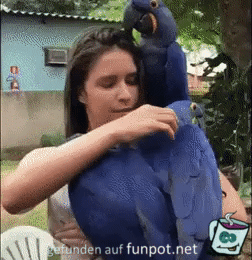 Anhnglicher Papagei