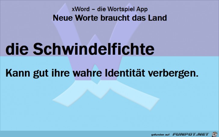 0574-Neue-Worte-Schwindelfichte