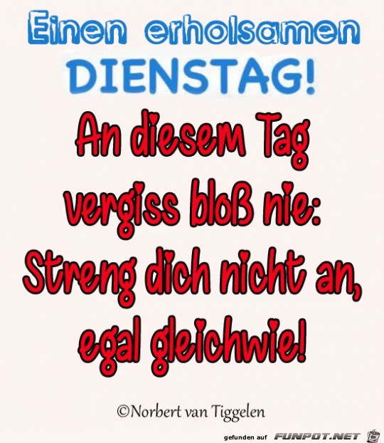 Dienstagsgruß 2019 - 2 Dienstagsgruß 2019 - 2