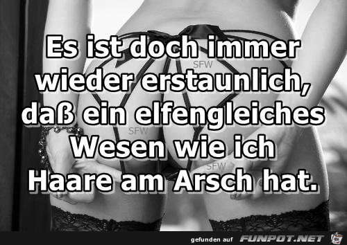Haare am Arsch Haare am Arsch