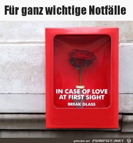 Für den Notfall Für den Notfall