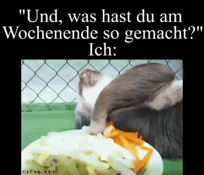 Was hast du am Wochenende gemacht Was hast du am Wochenende gemacht