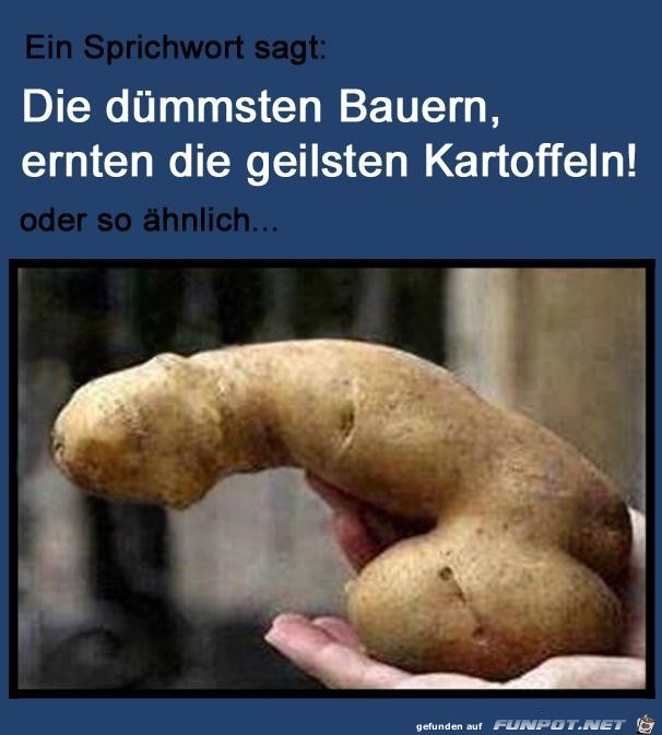 Kartoffel