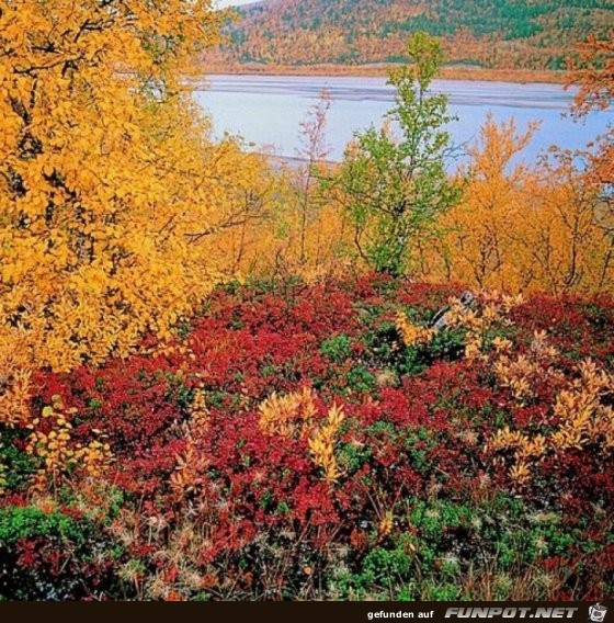 Lappland im Herbst Lappland im Herbst