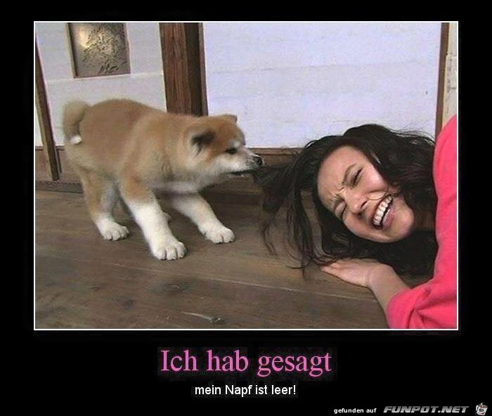 Der Napf ist leer Der Napf ist leer