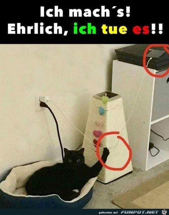 Ich mach es