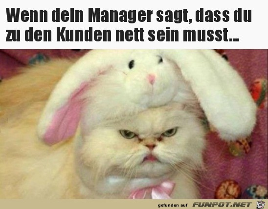Nett sein Nett sein