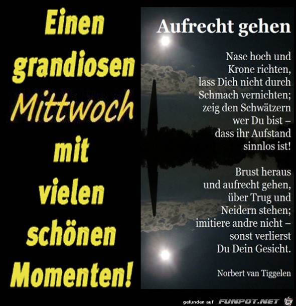 Mittwochsgruß 2019 - 3 Mittwochsgruß 2019 - 3