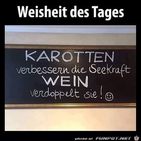 Weisheit Weisheit
