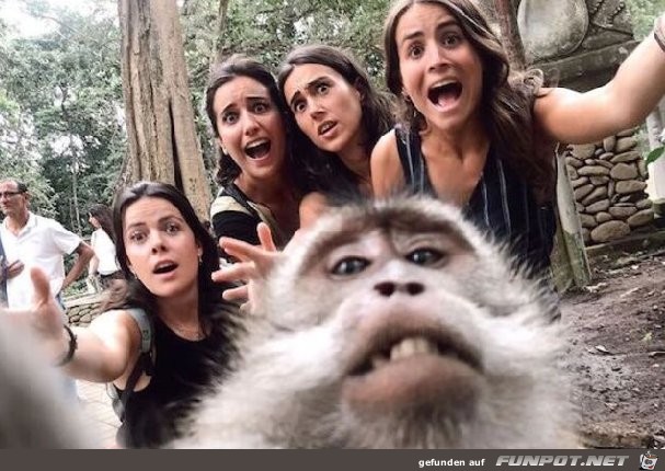 Lustiges Selfie Lustiges Selfie