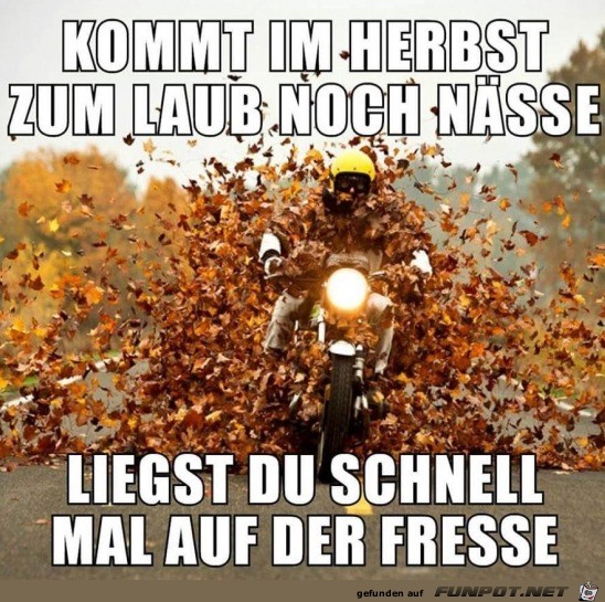 Im Herbst