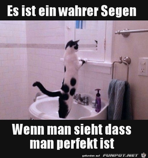 Perfekt Perfekt