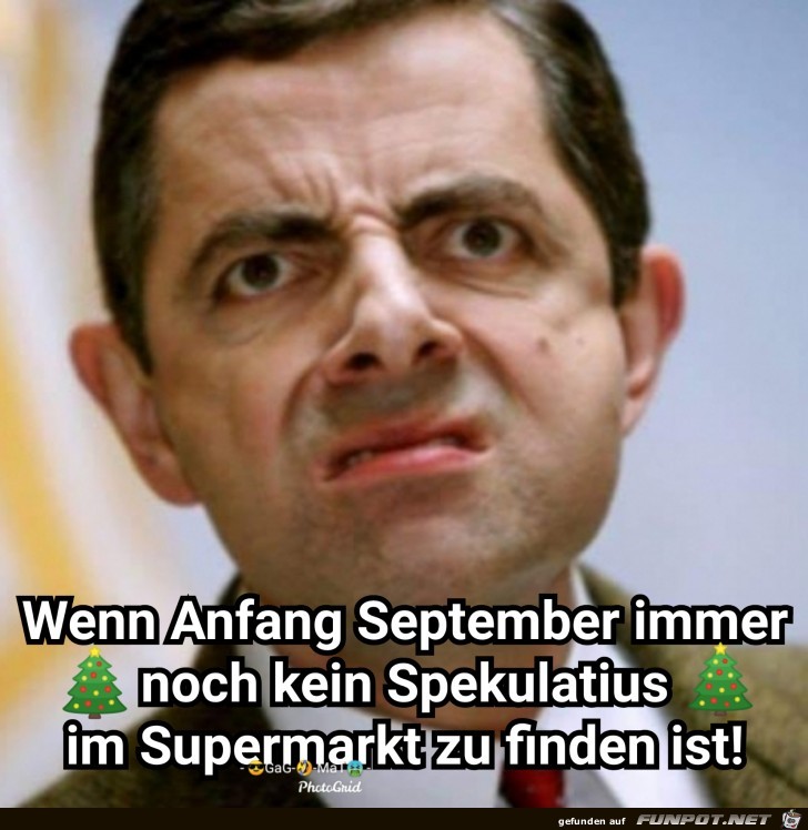 Spekulatius Spekulatius