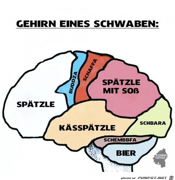 Schwaben-Hirn Schwaben-Hirn